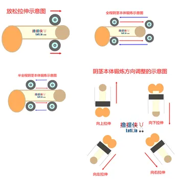 Jelq Tool Device Penis Enlargement Exercise Penis Growth Clip Arab Milking Men Dildo Enlargement Delay Lasting Training Exercise 5