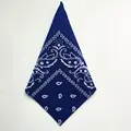 sapphire Bandana