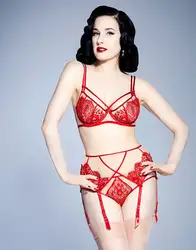 Бесплатная доставка Dita von грудь кружева сексуальный ретро-Бюстгальтер Нижнее белье 70f70g75e75f75g80e80f бюстгальтер на косточках E чашка