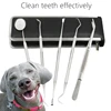 Pet Tooth Cleaning Tool Dog Cat Tartar Removal Stone Tooth Scraper Animal Tooth Care Tool Pet Grooming And Washing Supplies ► Photo 1/6