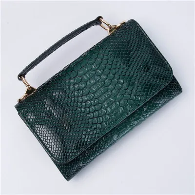 Snake Green Зеленая Змея шаблон клатч сумка женский кошелек многофункциональный кошелек женские сумочки под змею телефон клатч сумка - Цвет: Snake Green