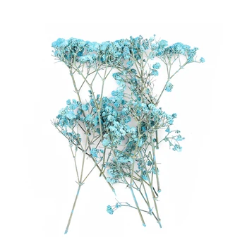 

10Pcs/Bag Dried Flower Dry Plants For Epoxy UV Resin Pendant Necklace Jewelry Making Craft DIY Nail Art Decoration Accessories