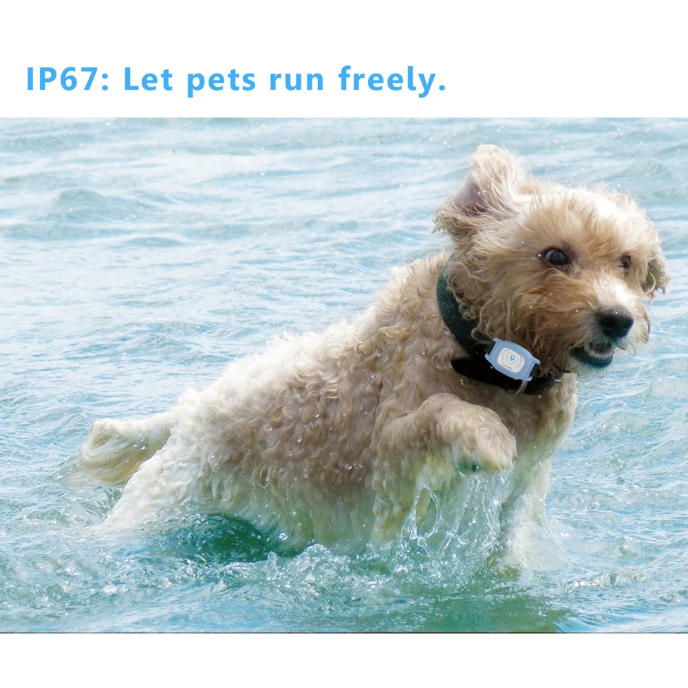 

Hot Smart Waterproof IP67 Mini Pet GPS Tracking Tracker Collar for Dog Cat AGPS LBS SMS Positioning Pets Geo-Fence Track Device