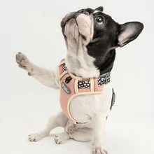 

Adjustable No Pull Dog Harness Reflective Breathable Pet Vest Leash French Bulldog Set for Puppy Large Dogs Outdoor Training