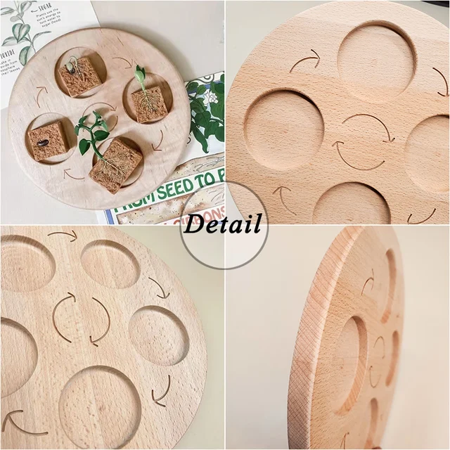Wooden Animal Life Cycle Board Children Toys Montessori Teaching Aids Plant Growth Cycle Model Set Life Science Educational Toys 5