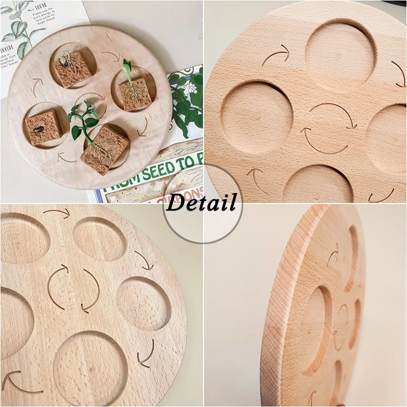 Wooden Animal Life Cycle Board Children Toys Montessori Teaching Aids Plant Growth Cycle Model Set Life Science Educational Toys 5