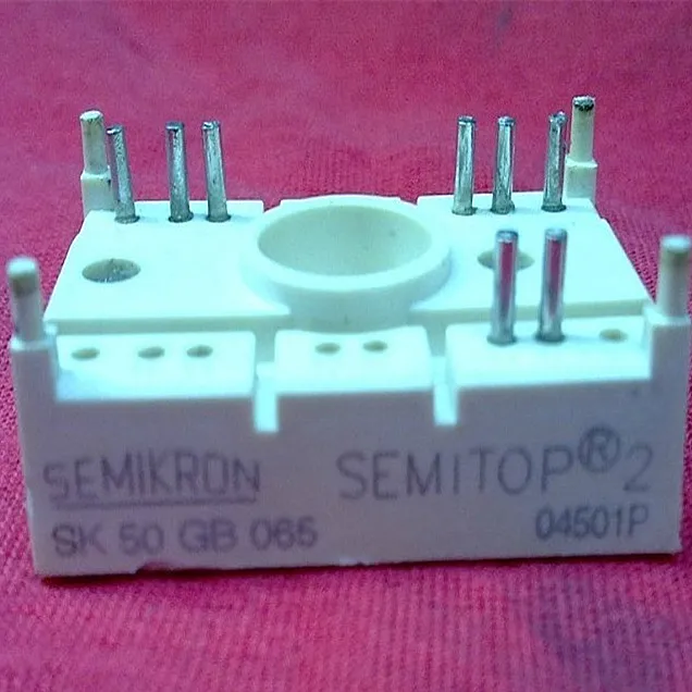 SK50GB065 50A 600V IGBT Модули для обеспечения качества-SMKJ