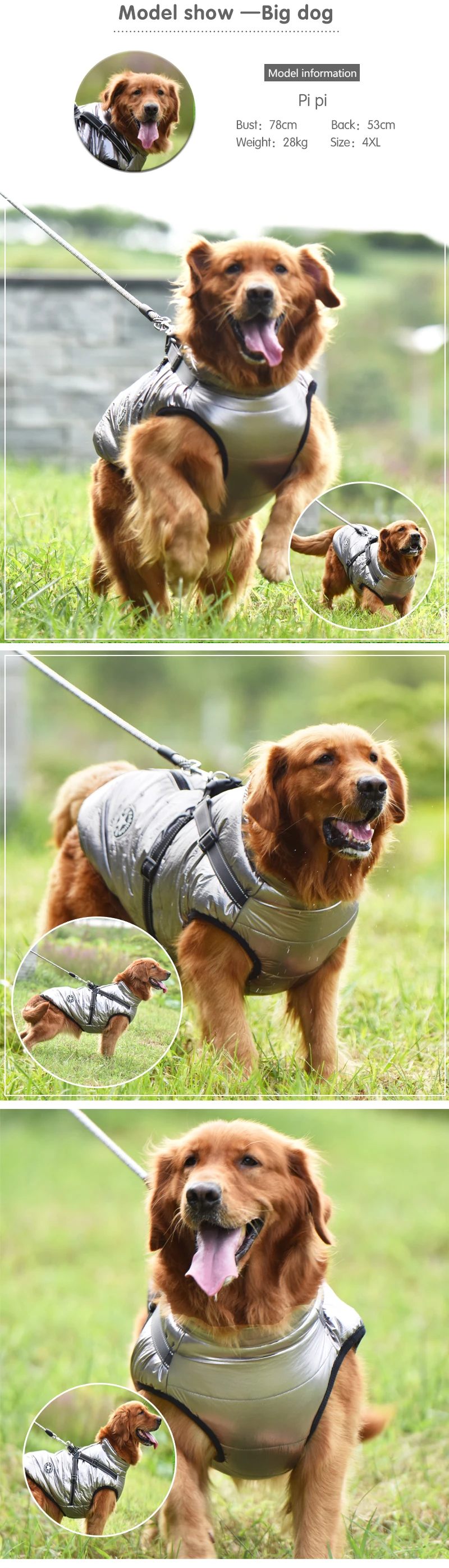 Large Pet Dog Jacket With Harness