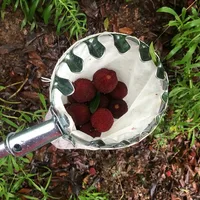 Garden Tools