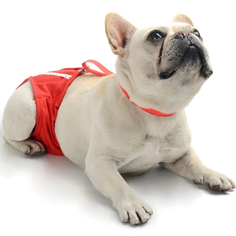 Decorative item with modern aesthetic, centered display