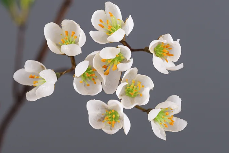 桃花枝 白色_02.jpg
