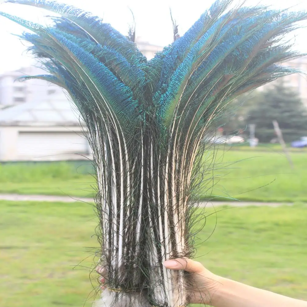 Wholesale Pretty 10pcs Natural Peacock Feather sword 16-22inch/40-55cm left and right Symmetric Decoration | Дом и сад