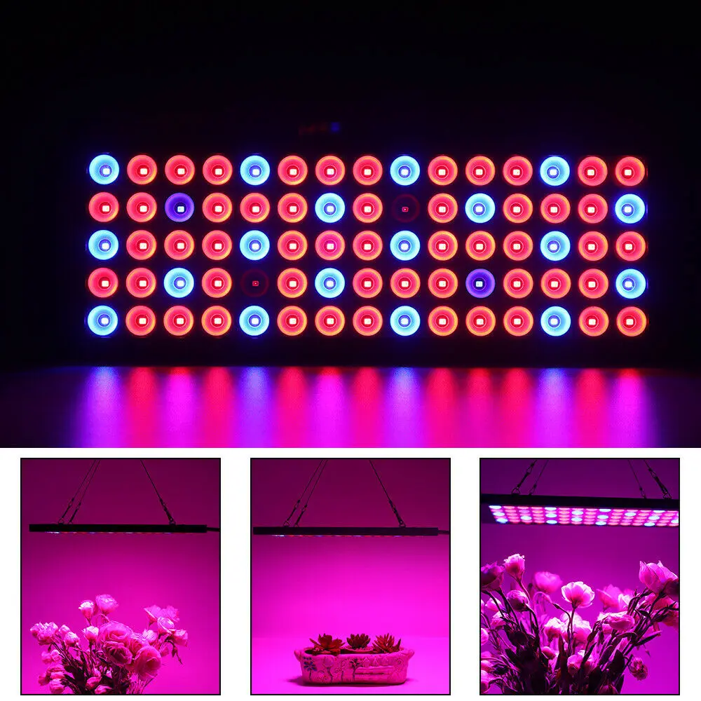 1000W 75LED Full Spectrum LED Grow Light Plant Indoor Tent Greenhouse Hydroponic 