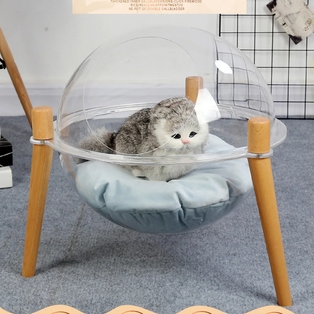 cat space capsule