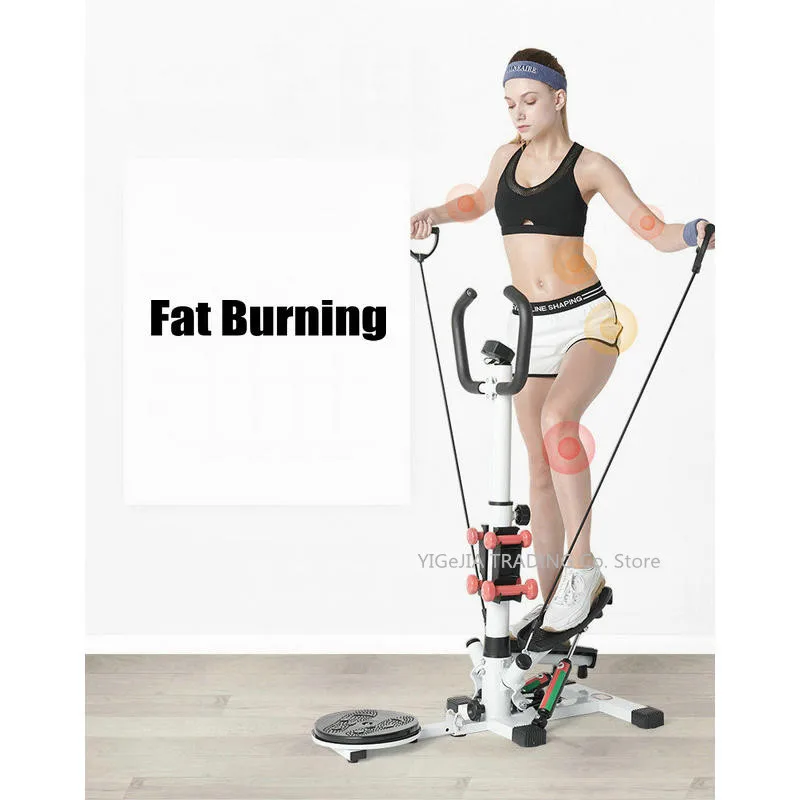 step and twist exercise machine