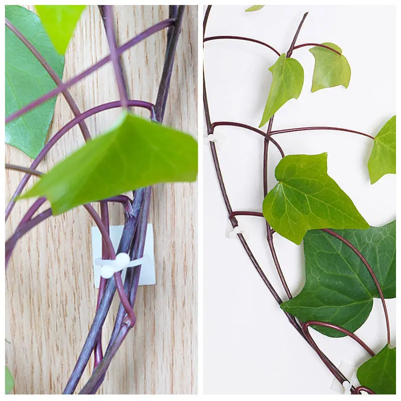 Plant Climbing Self-Adhesive Wall H466821d58f354ad1b14e28df4d0e6388M