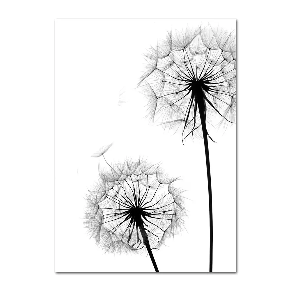 Black-And-White-Canvas-Art-Painting-Life-Quote-Nordic-Posters-And-Print-Dandelion-Poster-Decoration-Wall (4)