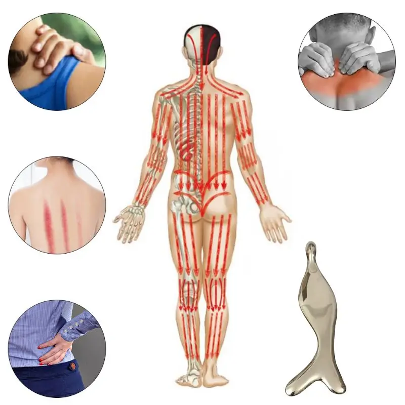 Guasha инструменты хиропрактики инструменты физиотерапии инструменты для Myofascial релиз T4MB