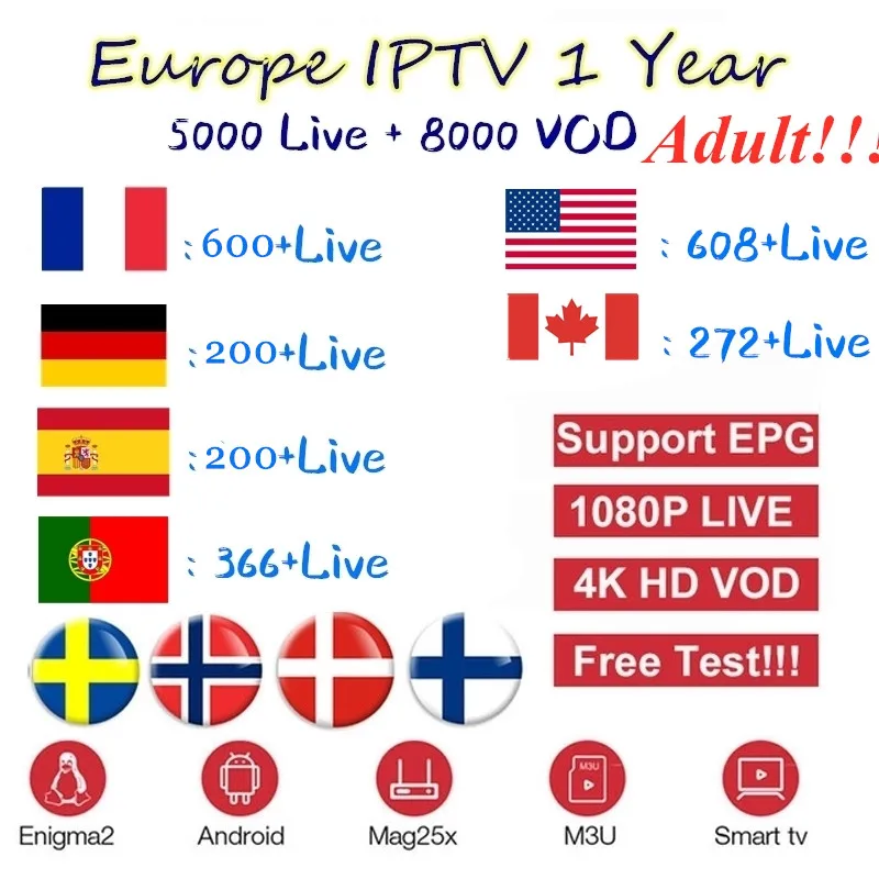 

France Europe IPTV Subscription for Arabic Spain German Portugal Nordic Support Adult M 3u Enigma2 Smart X96MINI Android TV Box