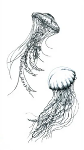 Jellyfish временная татуировка наклейка Кальмар Осьминог поддельные тату рука плеча водонепроницаемый 10,5X6 см набор из 12