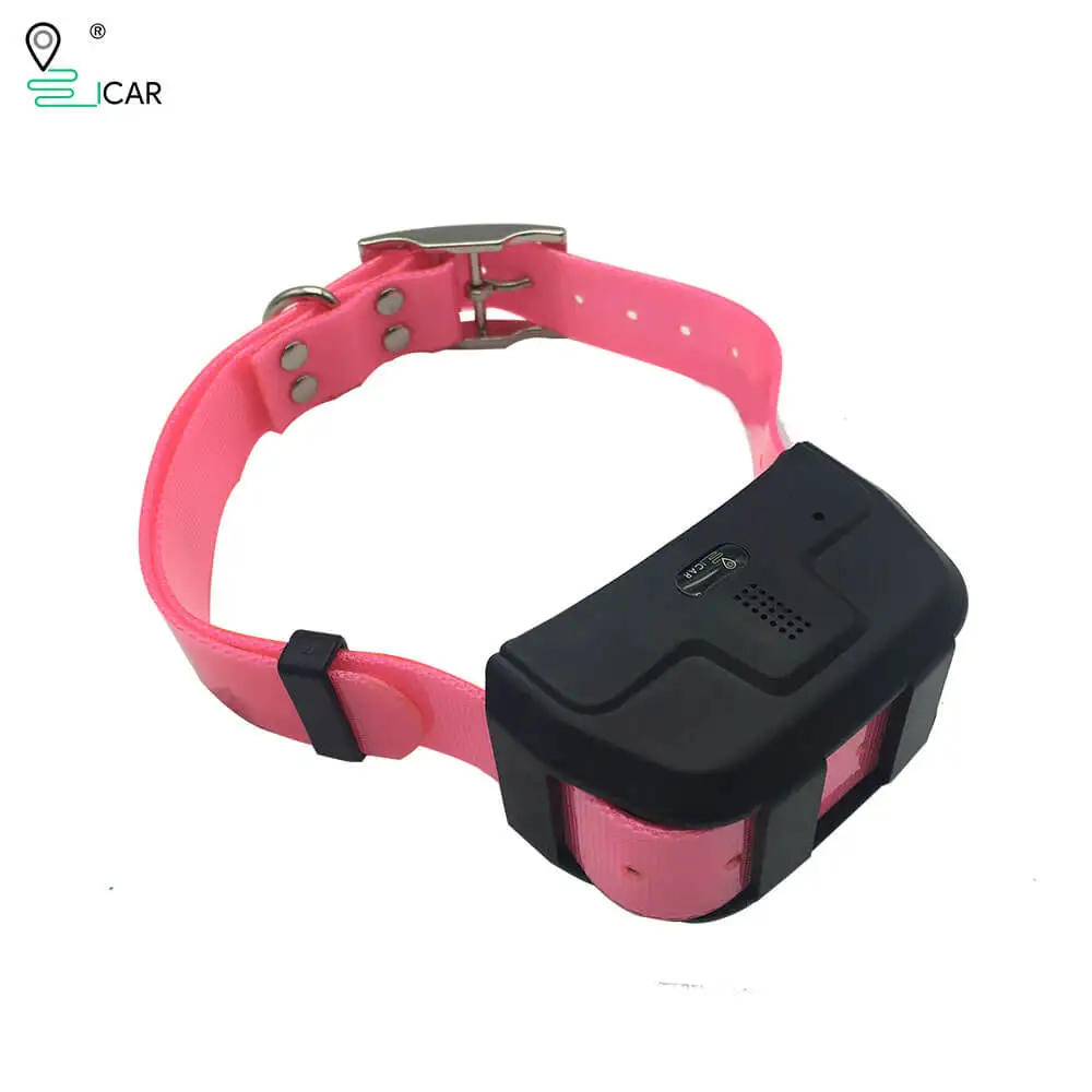 Collier GPS pour chien, grande capacité de batterie, localisateur  d'animaux, longue durée de veille, application gratuite - AliExpress