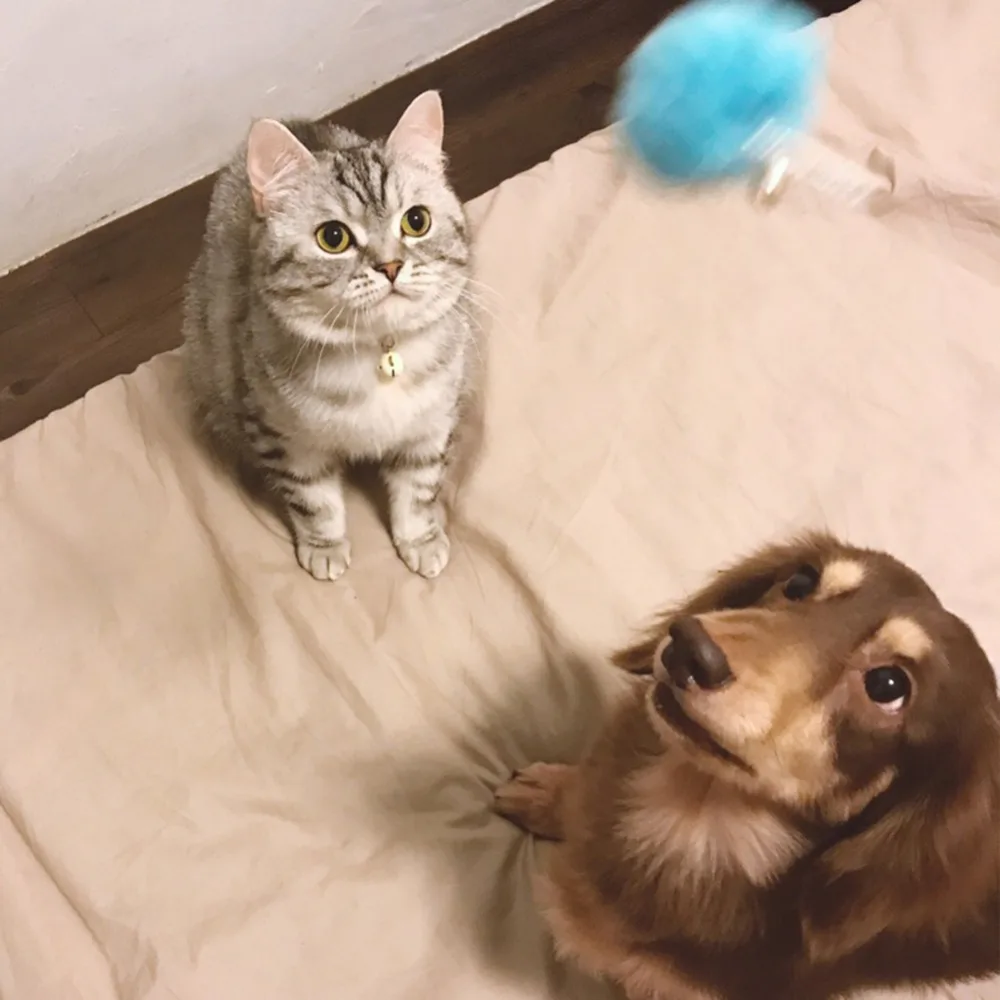 FE0009900-detail(10)