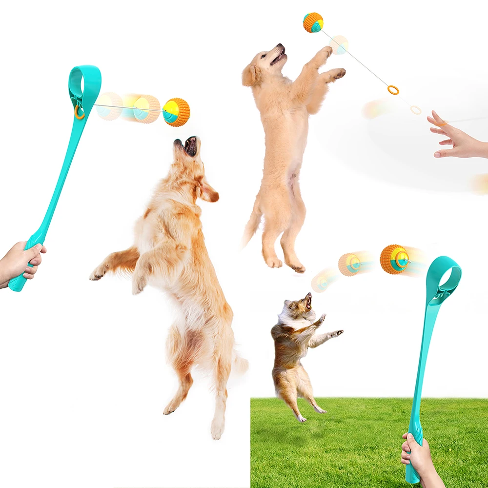 Dog Walking Trainer Toy Interactive Non Automatic Outdoor Pet Dog Toys