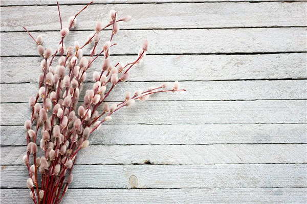 

SHUOZHIKE Vinyl Custom Christmas Photography Backdrops Prop flower and Wood Planks Photo Studio Background V191102-71