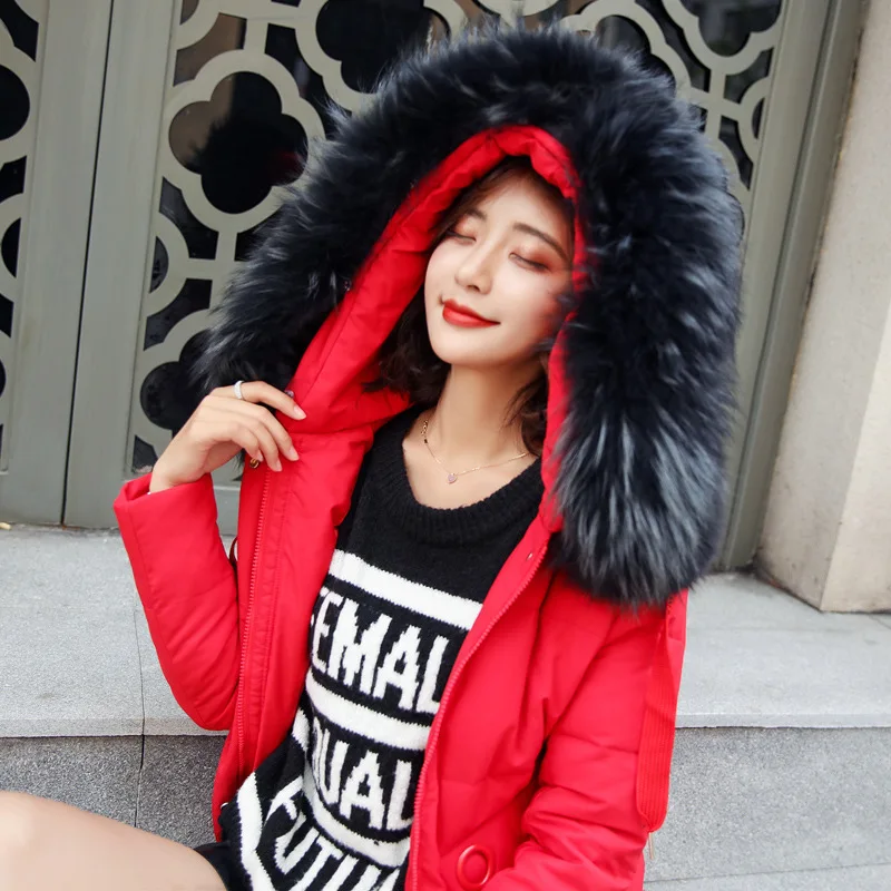 

Cotton-padded Clothes/Cotton Coat 2019 Winter Korean-style Fashion Casual Comfortable Trend Warm Simple Glorious