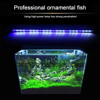 

2 Colors Aquarium Fish Tank LED Light Amphibious Use White Blue/ Red Blue Green Light Color Submersible Waterproof Clip Lamp