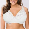 Grande taille dentelle soutiens-gorge pour femmes Lager Sexy Push Up soutien-gorge Bralette confortable à armatures sous-vêtements Lingerie hauts BH D DD E F G tasse ► Photo 1/6