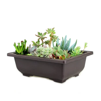 

Planter Pot With Tray Plastic Succulents Pot Small Size Flowerpot Balcony Decorations Bonsai Nursery Pots Garden Supplies 35