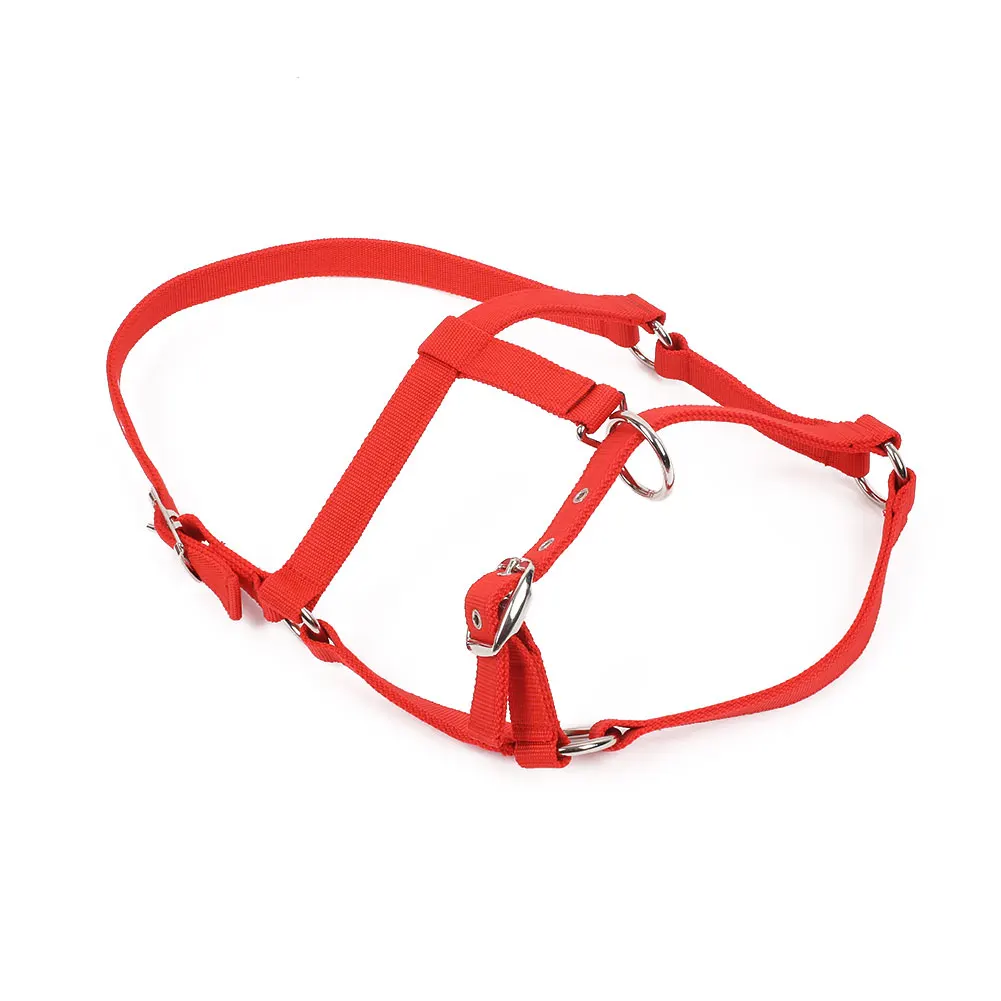 Horse Riding Belt Bridle Adjustable Halter Headstall Horsing Accessory Red/Blue