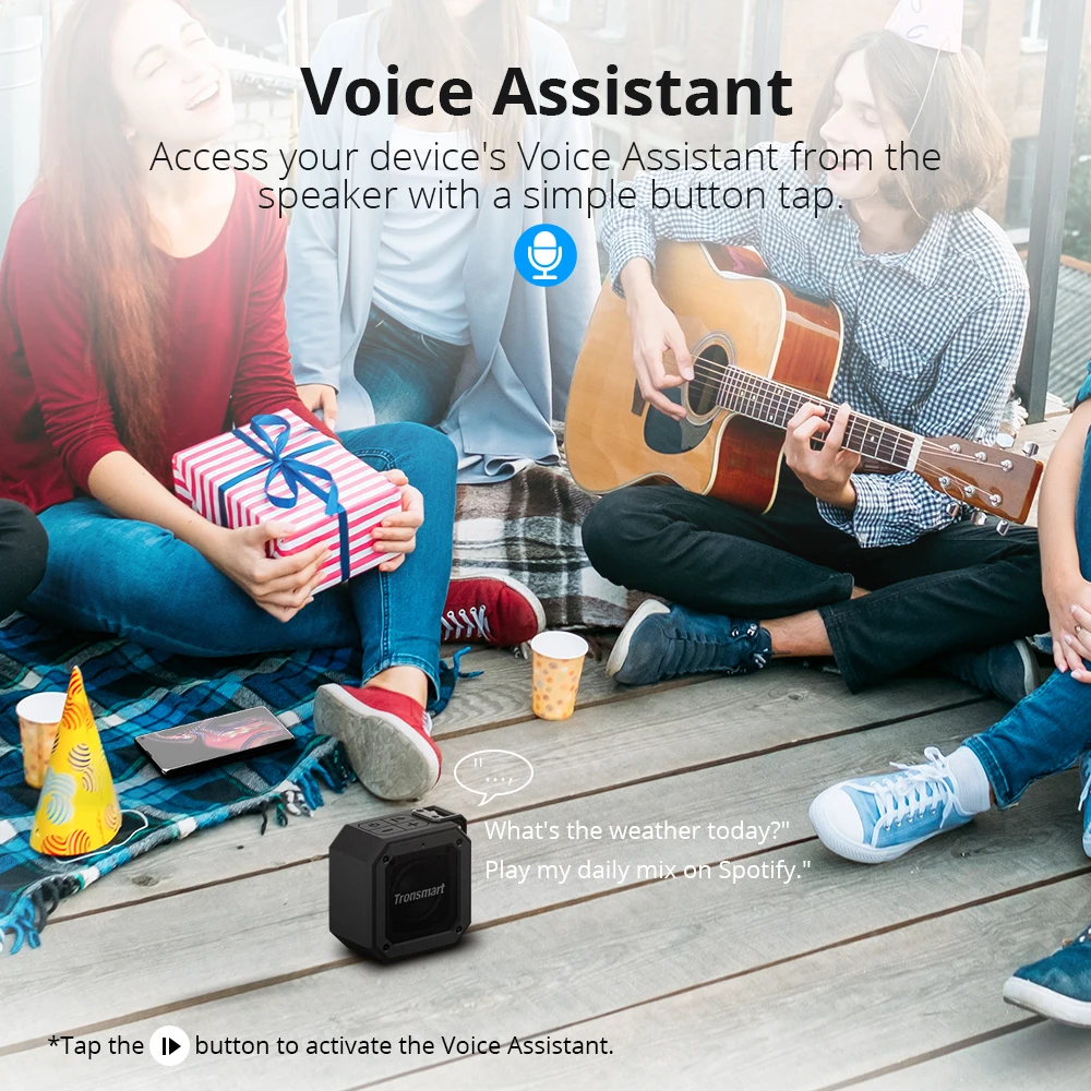 voice assistant