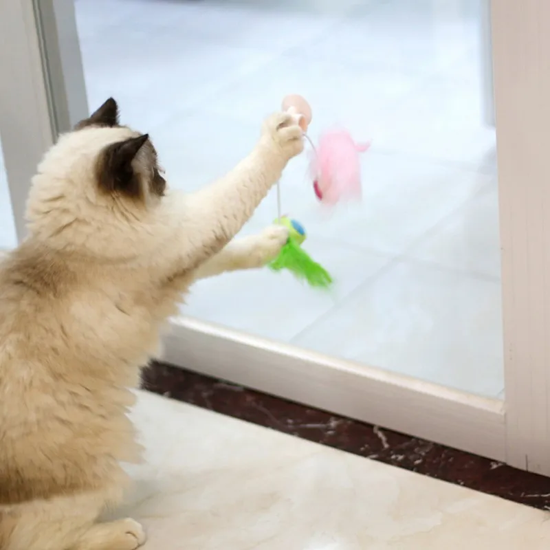 Pet Catnip колокольчики игрушки птицы игрушки из перьев для кошек котенок интерактивный оконные игрушки