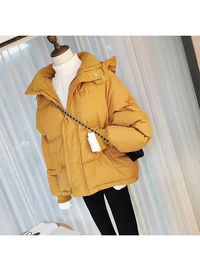 Осенне-зимняя куртка, Женская парка, Свободный теплый толстый пуховик, хлопковое пальто, женская негабаритная куртка с капюшоном и длинным рукавом, женская зимняя куртка