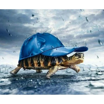 

Raining Turtle Hat 5D Diamond Painting Full Square DIY Animal Mosaic Rhinestone Picture House Decor Christmas Factory Direct