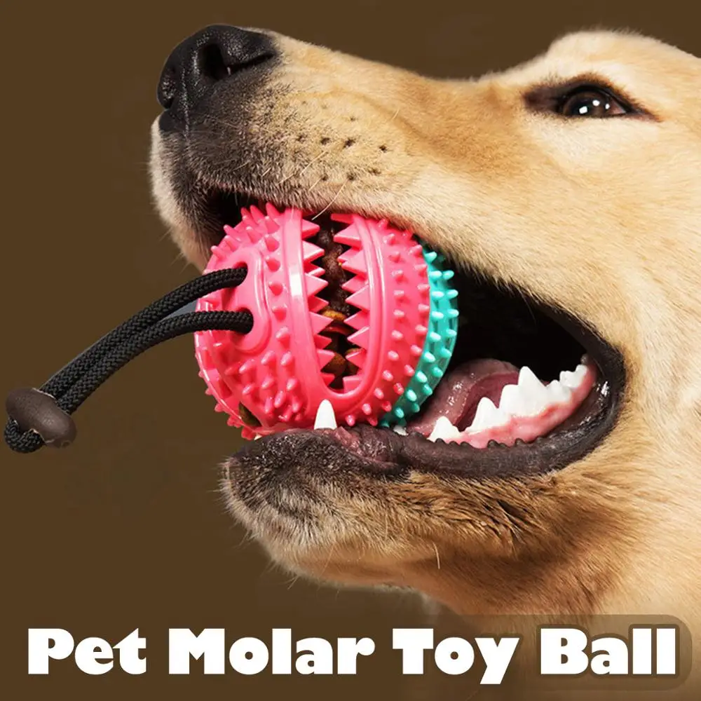 Pet Dog Toy Rubber Ball Grind Clean Teeth Molar Bite Resistant Leakage Food Ball