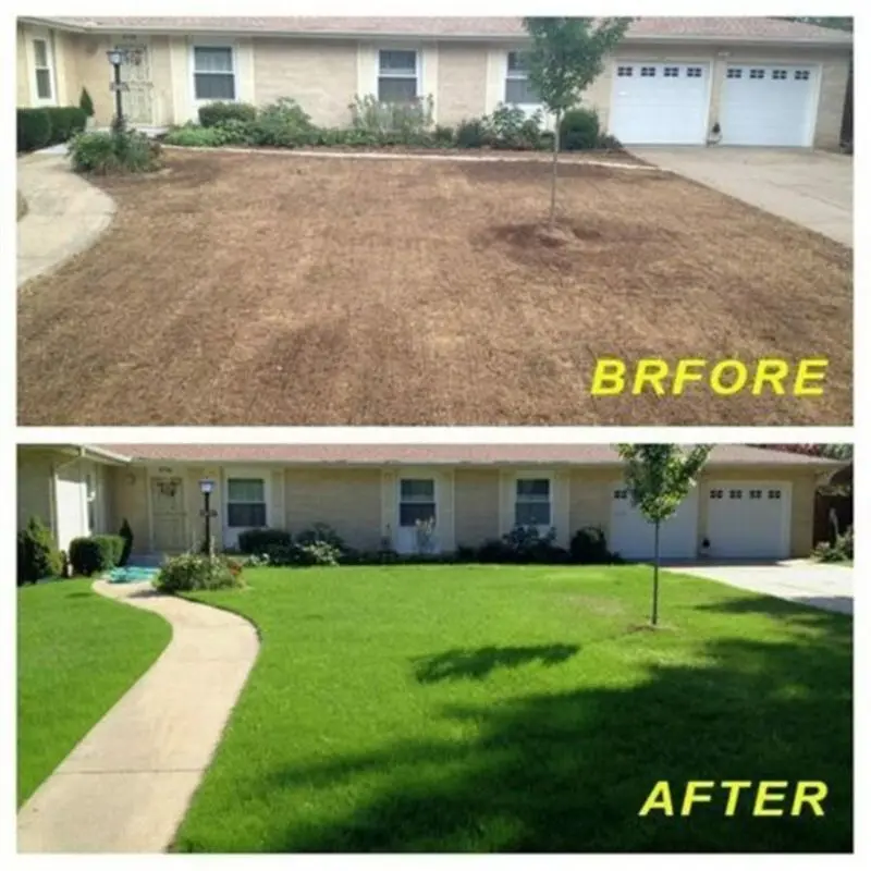 

Biodegradable Grass Seed Mat, Year Round Green, 78x8in Quick Fix Roll - All in O