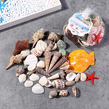 

Free Shipping Natural Shell Set Natural Shell&Conch Beach Wedding&Party&Holiday Decor