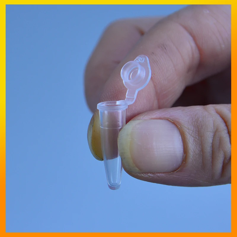 Plastic Test Tubes Centrifuge Tube Micro 0.2 Ml Centrifuge Tube 50pcs Test Tubes Transparent Plastic Tube Container Science Laboratory Test Accessories Lid