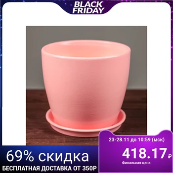 

Flowerpot Autumn, gloss, pink, 1 L 2926481