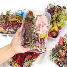 1Box Random Mix Dry Flowers Decoration Natural Floral Sticker for Beauty Nail Art Decals Epoxy Resin Mold Jewelry Making DIY