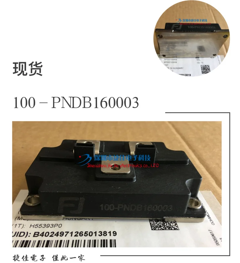 100-PNDB160003 100-PNDB160001