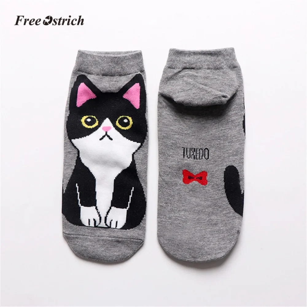 12 - YQT90309192_2019030909451192912