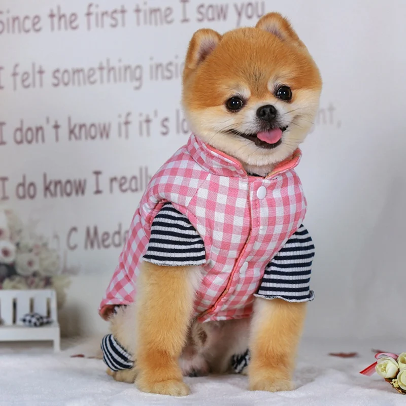 Pet зимнее теплое пальто для собак с милым рисунком одежда Двубортная одежда жилет куртка для маленьких девочек, для средних и больших собак