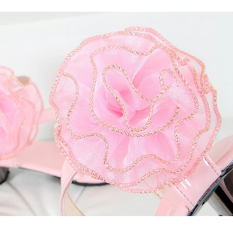 TB2yNSVmVXXXXc2XXXXXXXXXXXX_!!1613110333