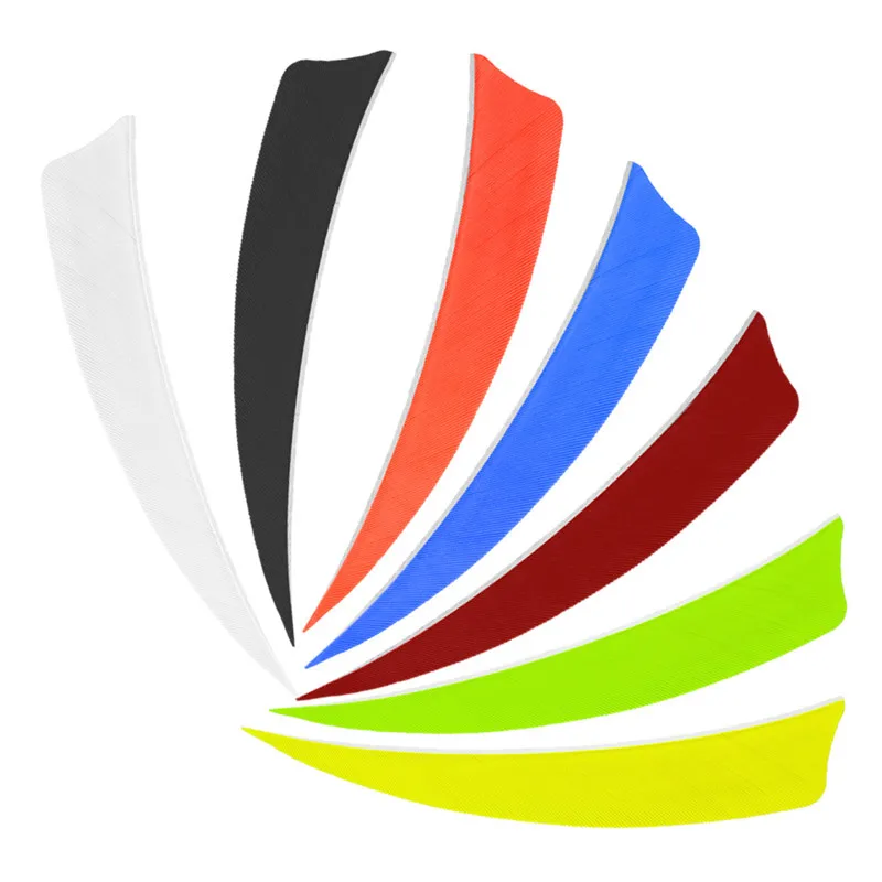 303557_no-logo_303557-1-09-g