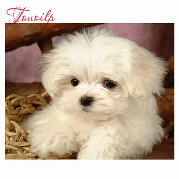 

Full Square Round 5D Diy Diamond Painting maltese dog Diamond Embroidery Cross Stitch crystal Picture by number Sticker
