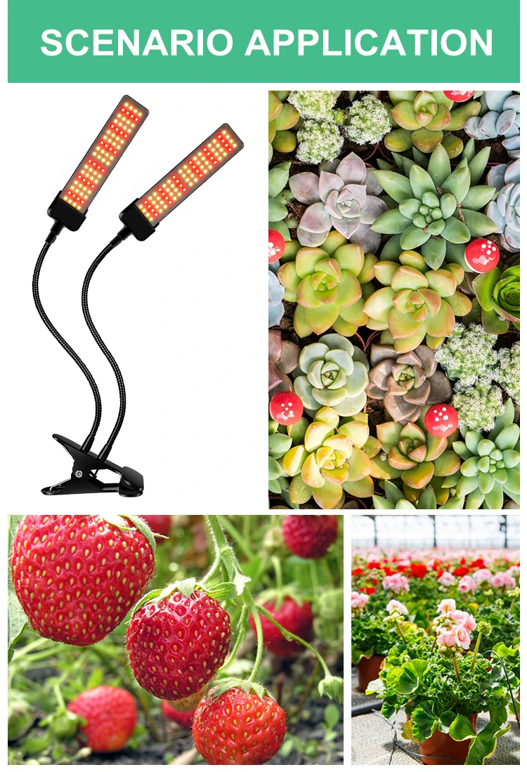 LED Grow Light EU/US/UK Phyto Lamp Full Spectrum Fitolamp With Control Phytolamp For Plants Seedlings Flower Home Phytotape LED Grow Light EU/US/UK Phyto Lamp Full Spectrum Fitolamp With Control Phytolamp For Plants Seedlings Flower Home Phytotape